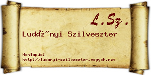 Ludányi Szilveszter névjegykártya